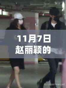 赵丽颖恋情最新动态揭秘,深度解析、特性、体验、竞品对比与用户群体洞察