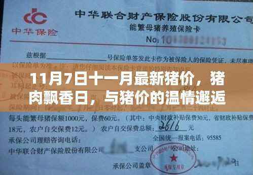 猪肉飘香日,最新猪价动态与温情邂逅