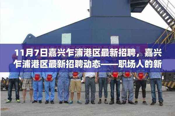 嘉兴乍浦港区最新招聘动态,职场人的新机遇在乍浦港区开启