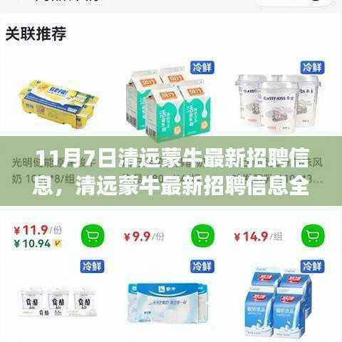 清远蒙牛最新招聘信息解读,特性、体验、竞品对比与目标用户分析全解析