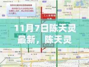 揭秘陈天灵最新动态,11月7日三大看点揭晓