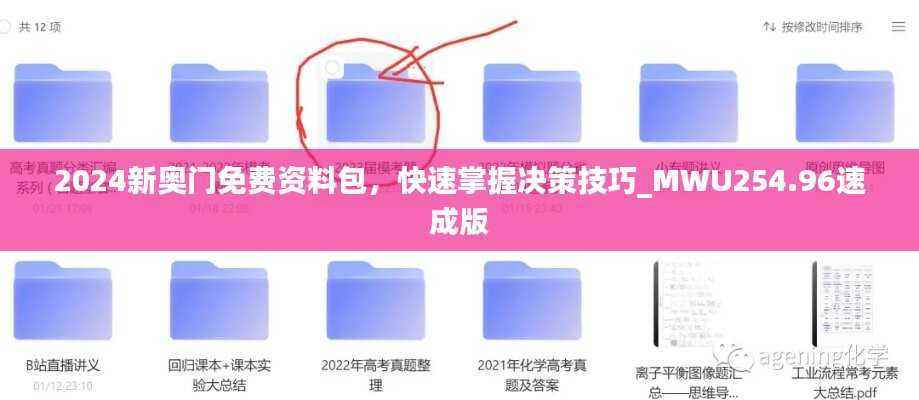 2024新奥门免费资料包,快速掌握决策技巧_MWU254.96速成版