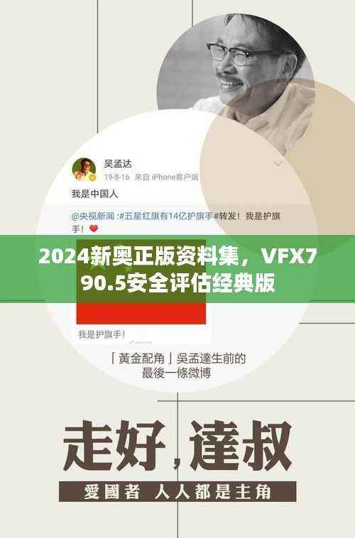 2024新奥正版资料集,VFX790.5安全评估经典版