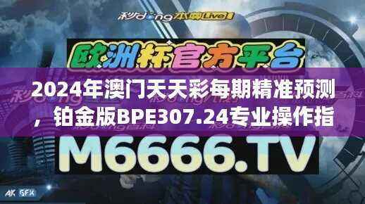 2024年澳门天天彩每期精准预测,铂金版BPE307.24专业操作指南