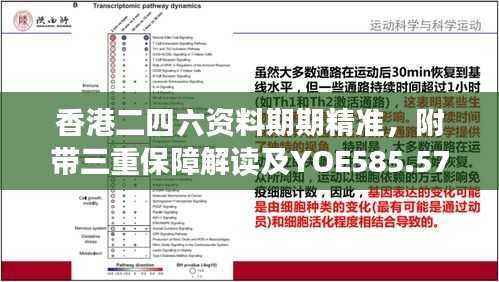 香港二四六资料期期精准,附带三重保障解读及YOE585.57预测版新释