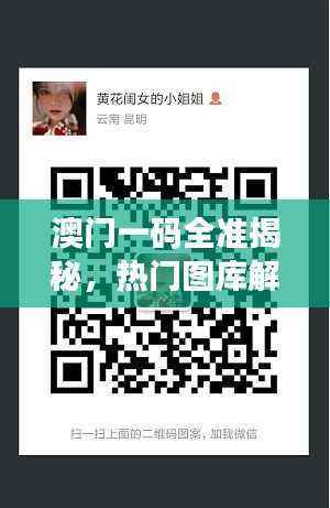 澳门一码全准揭秘,热门图库解答NRD557.08专版