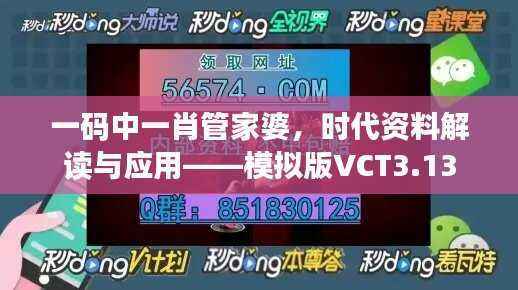 一码中一肖管家婆,时代资料解读与应用——模拟版VCT3.13