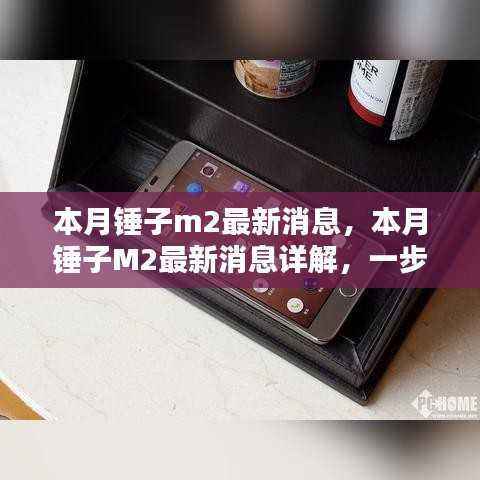 锤子M2最新消息详解与操作指南
