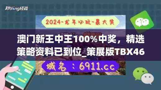 澳门新王中王100%中奖,精选策略资料已到位_策展版TBX46.25