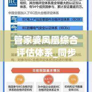 管家婆凤凰综合评估体系_同步版QMA980.78标准