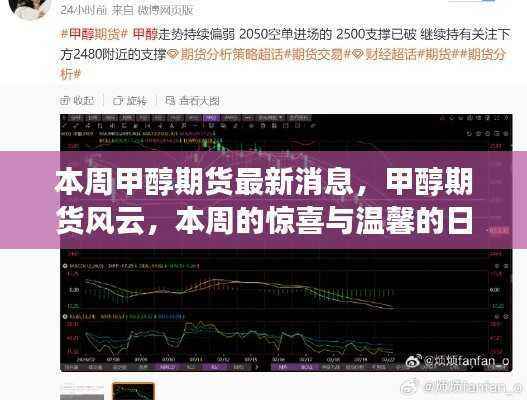 本周甲醇期货市场动态,惊喜与日常温馨回顾,期货风云再掀波澜