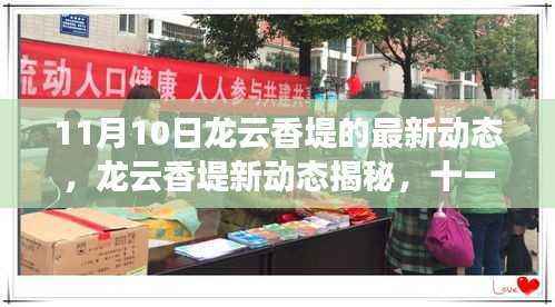 龙云香堤十一月最新动态揭秘,新时代风采展现