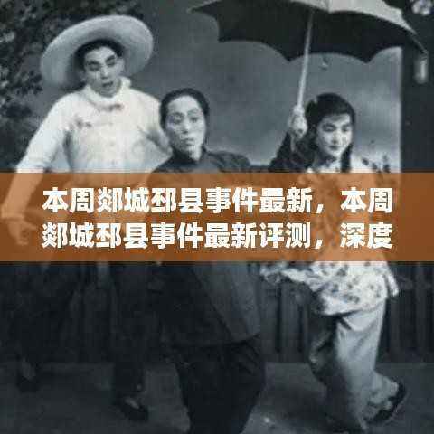 郯城邳县事件最新进展与深度解析,特性、体验及目标用户群体探讨