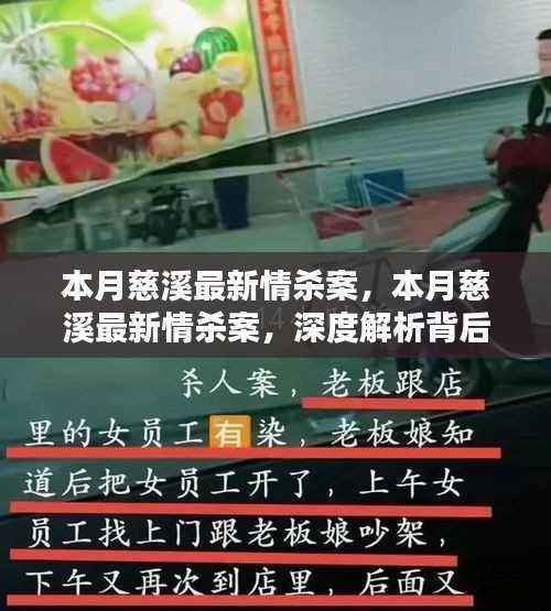 慈溪最新情杀案深度解析,情感纠葛与法律盲点探究