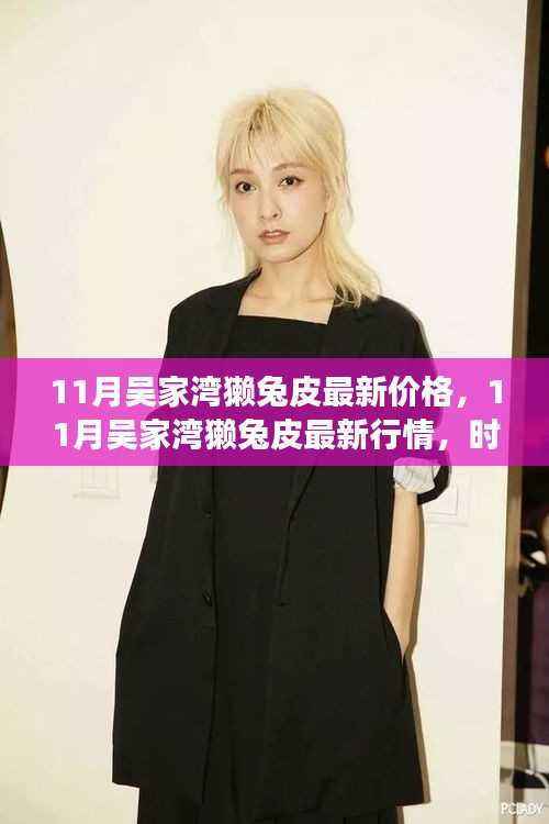 11月吴家湾獭兔皮行情,时尚价值交汇,最新价格与行情解析