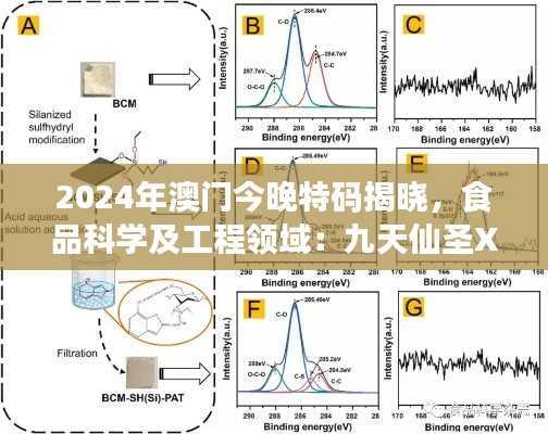 2024年澳门今晚特码揭晓,食品科学及工程领域:九天仙圣XFO675.39