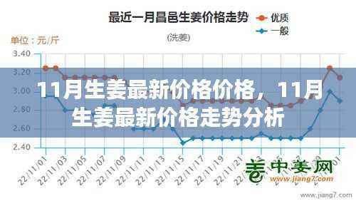11月生姜最新价格及走势分析