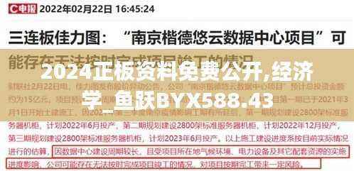 2024正板资料免费公开,经济学_鱼跃BYX588.43