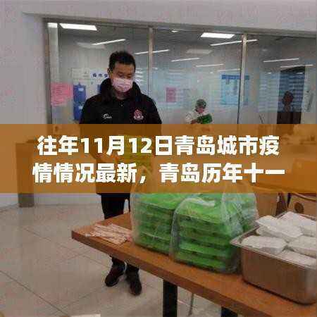 青岛历年11月12日疫情回顾,城市成长与挑战的见证者
