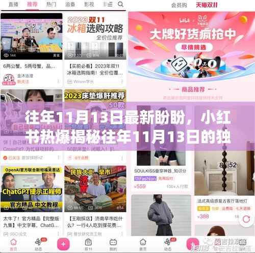 小红书揭秘,往年11月13日的独特盼盼与美好时刻再现!