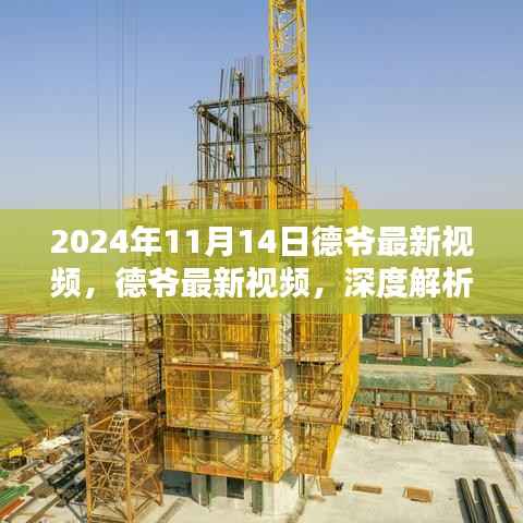 德爷最新视频深度解析与用户体验报告(2024年11月14日)
