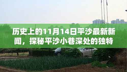 历史上的11月14日平沙惊喜发现,小巷深处的独特风味探秘