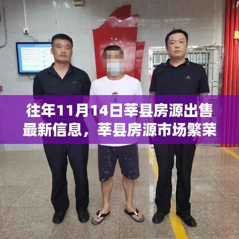 揭秘莘县房源市场繁荣背后的故事,往年11月14日最新房源出售信息汇总