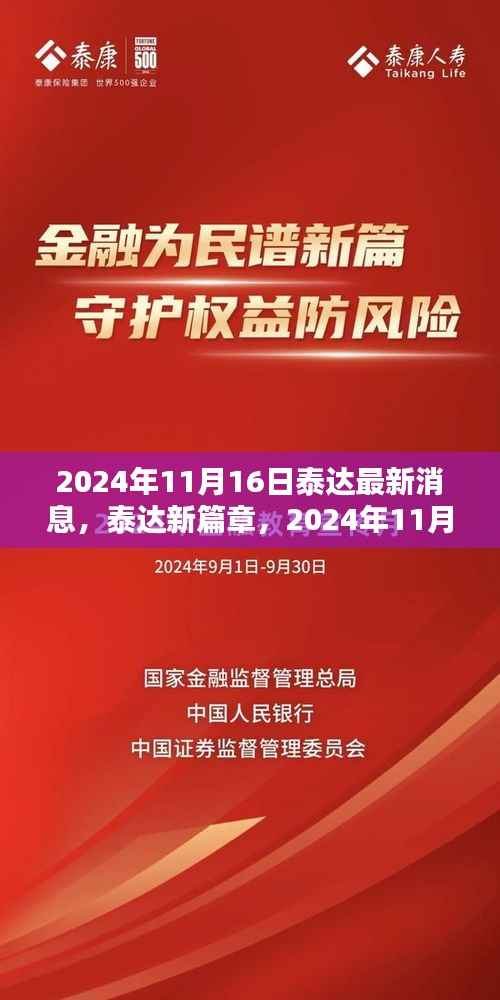 泰达最新动态,2024年11月16日的新篇章与温馨日常