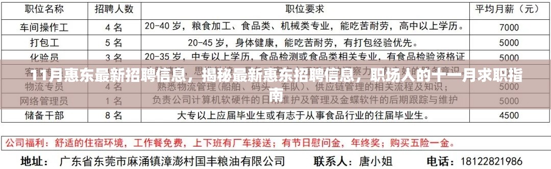揭秘最新惠东招聘信息,职场人的十一月求职指南与求职攻略
