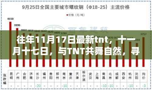 十一月十七日TNT之旅,与自然共舞,探寻宁静港湾的奥秘