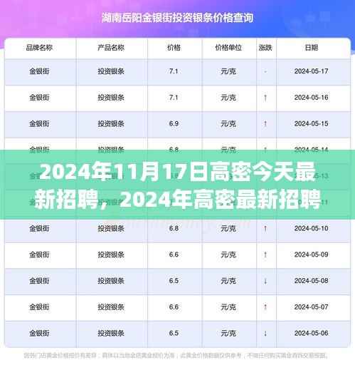 2024年高密最新招聘活动参与指南,从入门到应聘成功全攻略
