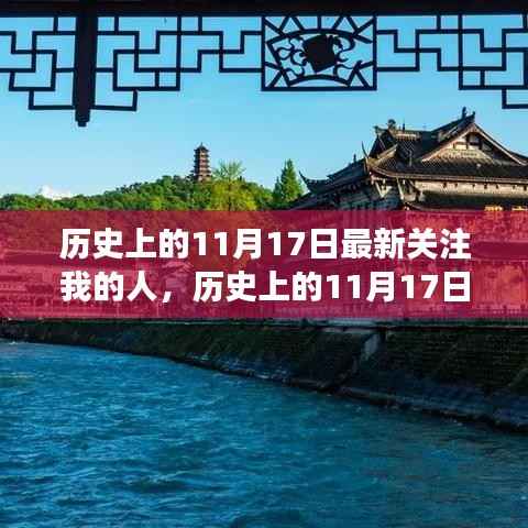 11月17日,自然美景中的心灵宁静之旅,新关注者的聚焦时刻