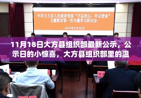 大方县组织部最新公示日揭秘,公示中的温暖故事与小惊喜