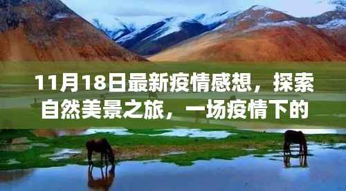 疫情下的心灵洗涤与自我发现之旅,自然美景的探索与最新感悟