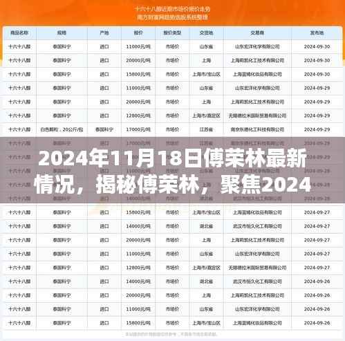揭秘傅荣林,最新动态与成长历程(2024年11月18日更新)