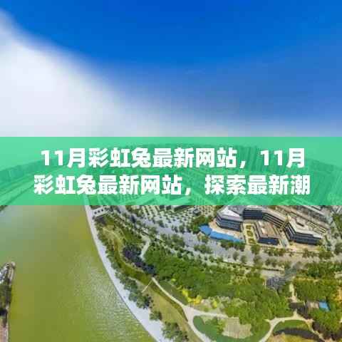探索最新潮流资讯与独特体验,11月彩虹兔最新网站