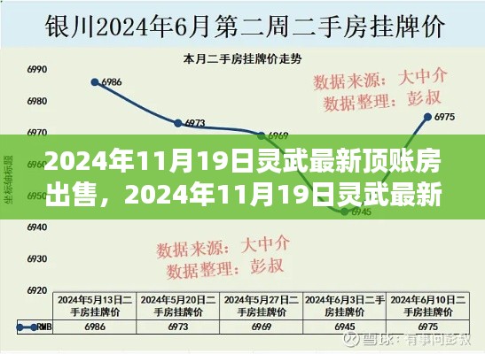 2024年灵武最新顶账房出售全面指南,特性、体验、竞品对比及用户群体深度解析