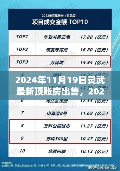 2024年灵武最新顶账房出售全面指南,特性、体验、竞品对比及用户群体深度解析