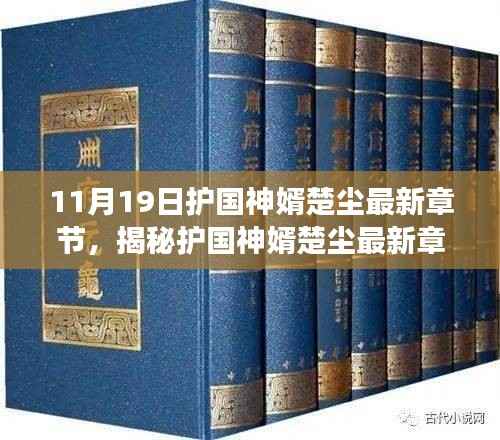 护国神婿楚尘最新章节揭秘,神级赘婿的传奇故事持续更新