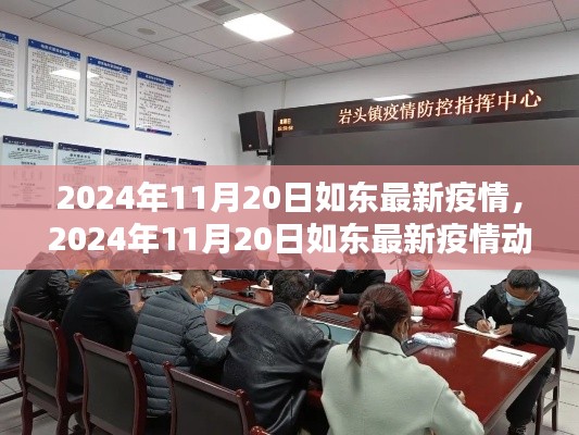 2024年11月20日如东最新疫情动态,防控措施分析与更新