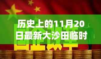 历史上的11月20日大沙田临时工招聘深度解读与新视角