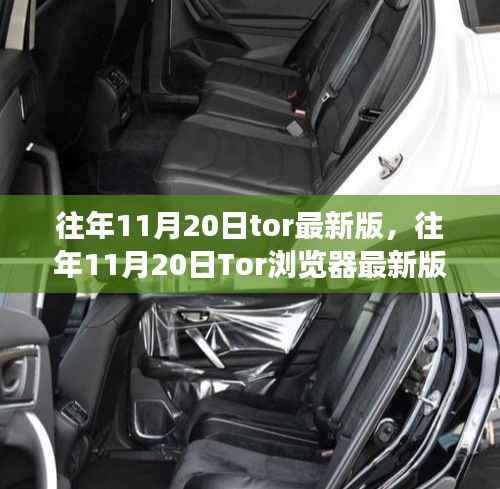 往年11月20日Tor浏览器最新版发布回顾,功能更新与用户体验提升