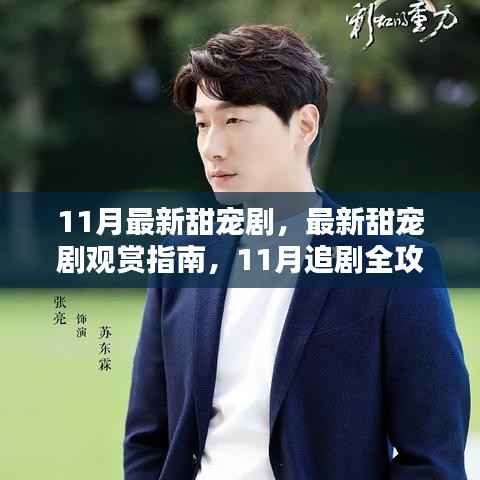 11月甜宠剧全攻略,追剧指南与追爱技能轻松掌握
