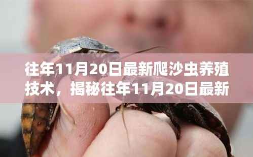 揭秘最新爬沙虫养殖技术,开启财富之门,往年11月20日深度解析与实战指南