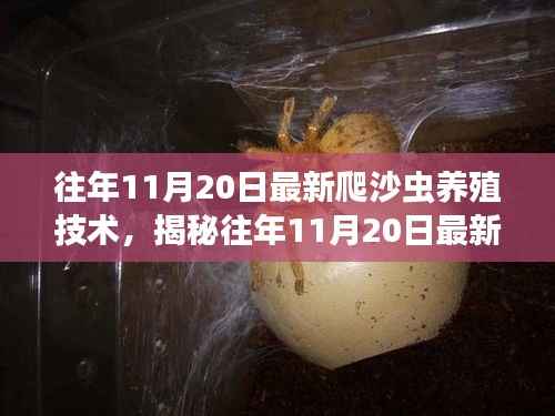 揭秘最新爬沙虫养殖技术,开启财富之门,往年11月20日深度解析与实战指南