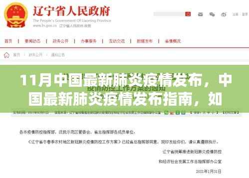 中国最新肺炎疫情指南发布,获取与理解疫情信息的初学者与进阶用户指南(11月最新更新)