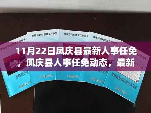 凤庆县最新人事任免动态解析(11月22日更新)