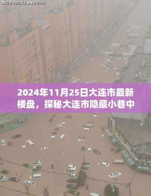 探秘大连市隐藏小巷的特色楼盘,时光雅居的非凡之旅(2024年11月25日大连市最新楼盘)