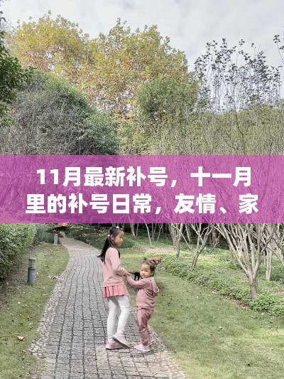 11月补号日常,友情、家庭与温馨的补号时光