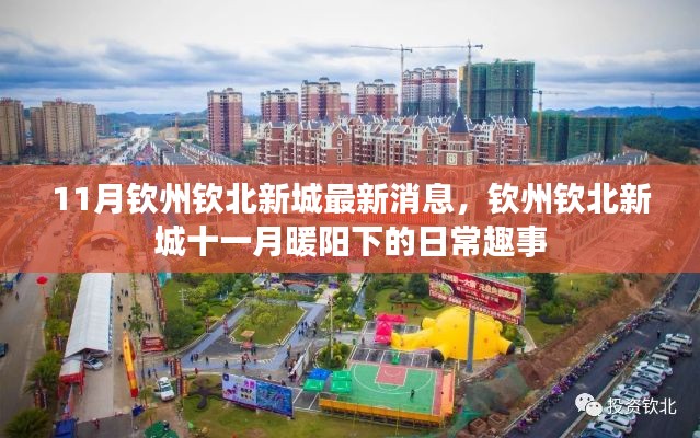 钦州钦北新城十一月暖阳下的日常趣事与最新消息